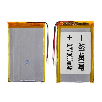 Батарея 4060100P универсальный с контроллером, 4 х 60 х 100 мм (3000 mAh)/ для смартфона, планшета