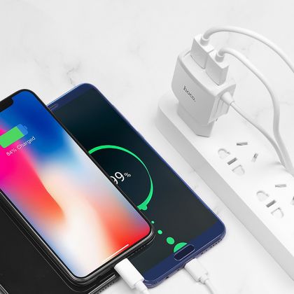 Зарядное устройство Hoco C59A Mega joy (2USB/ 2.4A) + Cable Micro White