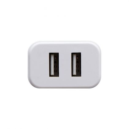 Зарядное устройство Hoco C62A Micro 2USB 2.1A White