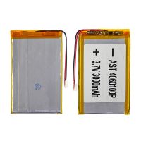 Батарея 4060100P универсальный с контроллером, 4 х 60 х 100 мм (3000 mAh)/ для смартфона, планшета