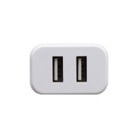Зарядное устройство Hoco C62A Micro 2USB 2.1A White