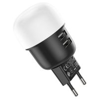 Зарядное устройство Hoco C87A 2,4 Black